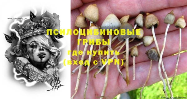 героин Новодвинск