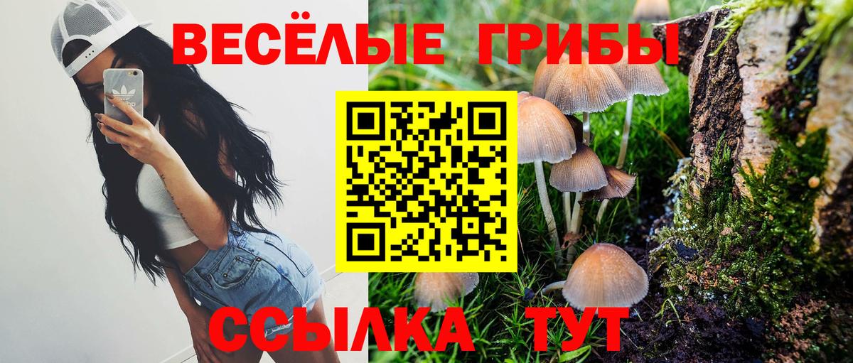 Галлюциногенные грибы мухоморы Краснознаменск