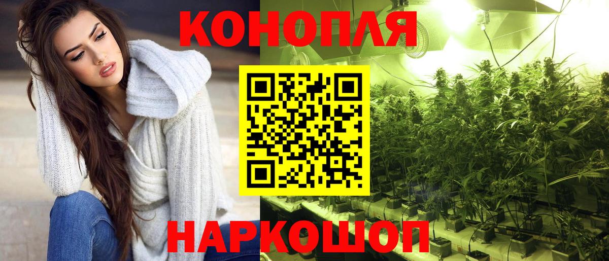 Бошки марихуана план  Марихуана Amnesia  Краснознаменск  Вход с VPN  МАРИХУАНА Bruce Banner  Конопля индика 